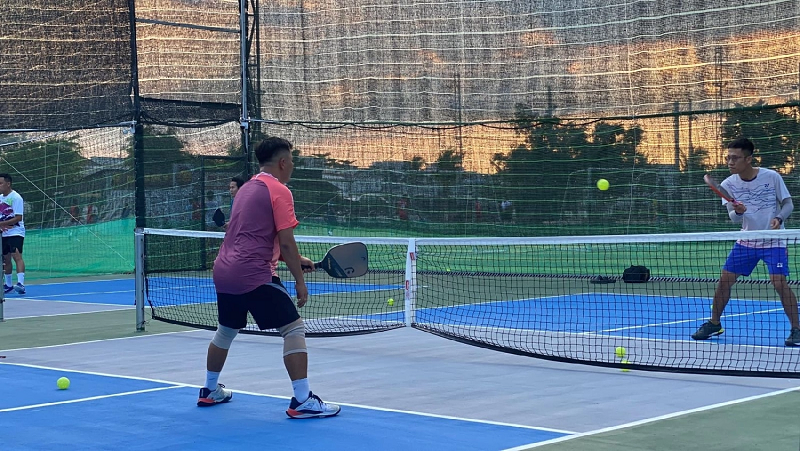 Thi công sân pickleball đạt chuẩn